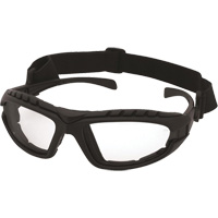Dentec 12E90701 Dustdevil Black Frame Safety Glasses, Clear Lens, Anti-Fog/Anti-Scratch, ANSI Z87+/Meets/Exceeds CSA Z94.3