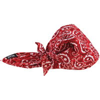 Ergodyne 12583 Bandeaux en triangle 6710CT de refroidissement en tissu de serviette Chill-Its, Rouge
