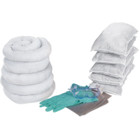 Produits de sécurité Zenith SEJ847 Trousse de rechange, 16 gallons, Huile seulement