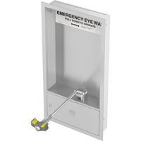 Bradley S19284HB Poste de douche oculaire, Installation Montage mural, Bol Acier inoxydable