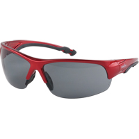 Z1900 Series Safety Glasses, Grey/Smoke Lens, Anti-Scratch Coating, CSA Z94.3 SEK286 | TENAQUIP