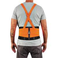 Ergodyne 11885 ProFlex 100HV Economy Spandex Hi-Vis Back Support Brace, Elastic, X-Large