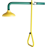 Lifesaver<sup>®</sup> Emergency Overhead Showers, Wall-Mount  SF861 | TENAQUIP