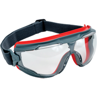 3M Safety Goggles