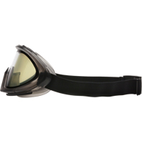 Pyramex G504DT Capstone Dual Lens Safety Goggles, Clear Lens, Anti-Fog/Anti-Scratch, Indirect Vent