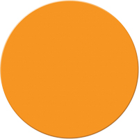 Incom Top Tape & Label ASM190N Armor Stripe Lean/5S Markers, Circle, 6" L x 6" W, Orange, Plastic