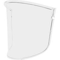 3M M-925 Visi&egrave;re standard 3M Versaflo