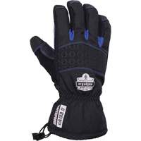 Ergodyne 17614 ProFlex&reg; Extreme Thermal Waterproof Gloves, Suede Palm, Size Large