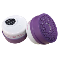 Dentec 15F158T21LPO Respirator Cartridge, Combination Gas/Vapour Cartridge and Particulate Filter, Acid Gas/Chlorine Gas/P100 Filter