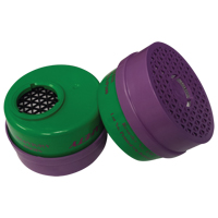 Dentec 15F158T22LPO Respirator Cartridge, Combination Gas/Vapour Cartridge and Particulate Filter, Ammonia/Methylamine/P100 Filter