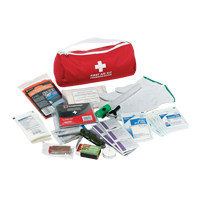 PIP Global Safety FAKCARBC Trousse de premiers soins pour auto Dynamic, Dispositif m&eacute;dical Classe 1, Sac en nylon