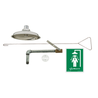 Haws 8169 Drench Shower, Ceiling-Mount