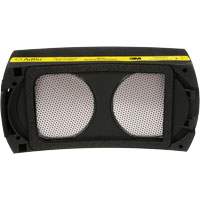 3M 15-0499-99X06. Speedglas Cartridge, P100 Filter, Pack of 1