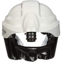 3M M-207N &eacute;cran facial complet pour respirateur Versaflo, Standard, Casque rigide