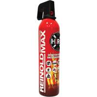 Fire Extinguisher, ABC/K, 2 lbs. Capacity  SGC461 | TENAQUIP