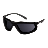 Pyramex SB9323ST Proximity Safety Glasses, Grey/Smoke Lens, Anti-Fog, ANSI Z87+/Meets/Exceeds CSA Z94.3