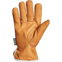 Superior Glove Works Ltd. 378GOBTL-L Endura&reg; Driver's Glove, Large, Grain Goatskin Palm, Thinsulate Inner Lining