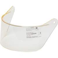 Face Protection
