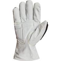 Endura<sup>®</sup> 378GKGVBE Cut & Impact Resistant Gloves, Large, Goatskin Palm, Driver Cuff  SGP790 | TENAQUIP