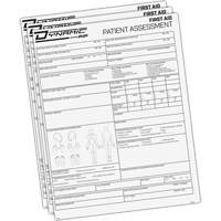 PIP Global Safety FACAP Diagramme d'&eacute;valuation du patient Dynamic