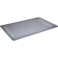 Mat Tech WF1234DG Tapis antimicrobiens WD Foodmaster, Lisse, 3' x 4' x 9/16", Gris, Nitrile/Caoutchouc