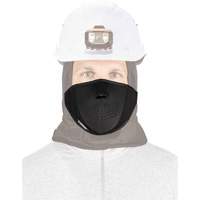 Ergodyne 16874 Cache-bouche thermique N-Ferno, Doublure en Molleton, Taille unique, Noir