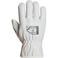 Superior Glove Works Ltd. 378GKTTL-L Endura&reg; Winter-Lined Driver Gloves, Large, Grain Goatskin Palm, Thinsulate Inner Lining