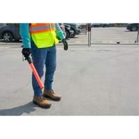 Produits de sécurité Zenith SGW959 B&acirc;ton de s&eacute;curit&eacute; lumineux