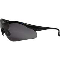 Dentec 12E93707 Miranda Safety Glasses, Grey Lens, Anti-Fog/Anti-Scratch, Meets/Exceeds CSA Z94.3