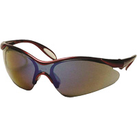 Dentec 12E93764 Lunettes de s&eacute;curit&eacute; Miranda, Lentille Miroir bleu, Anti-&eacute;gratignures, R&eacute;pond ou surpasse la norme CSA Z94.3