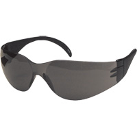Dentec 12E93102 CeeTec Safety Glasses, Grey Lens, Anti-Scratch, Meets/Exceeds CSA Z94.3