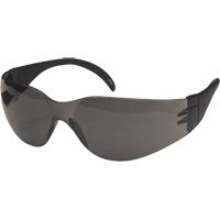 Dentec 12E93107 CeeTec Safety Glasses, Grey Lens, Anti-Fog/Anti-Scratch, Meets/Exceeds CSA Z94.3