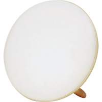 BIOS 59072 Lampe &agrave; luminoth&eacute;rapie pour le traitement de la d&eacute;pression saisonni&egrave;re