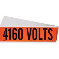 Brady 152325 "4160 Volts" Conduit & Voltage Labels, 2-1/4" x 9", Cloth/Vinyl, English
