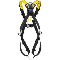 Petzl C073BA02 Harnais complet de taille 2 Newton International, Certifi&eacute;e CSA, Classe AL