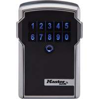 Master Lock 5441EC Boîte verrouillable murale