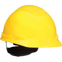 3M Hardhats 