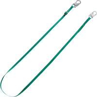 MSA 10201453 V-Series Tieback Restraint Lanyard, 10'
