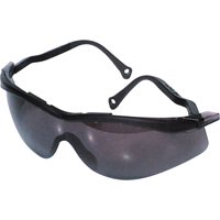 PIP Global Safety T56005BS Lunettes de s&eacute;curit&eacute; North The Edge, Lentille Fum&eacute;e, Antibu&eacute;e/Anti-&eacute;gratignures, R&eacute;pond ou surpasse la norme CSA Z94.3