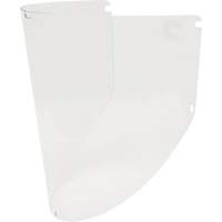 Jackson Safety 14214 &eacute;cran facial de rechange de qualit&eacute; sup&eacute;rieure Maxview, Polycarbonate