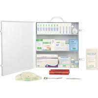 First Aid Kit, CSA Type 2 Low-Risk Environment, Large (51-100 Workers), Metal Box  SHC215 | TENAQUIP