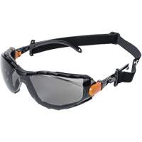 Sellstrom S71912 XPS502 Sealed Safety Glasses, Indoor/Outdoor Lens, Anti-Scratch
