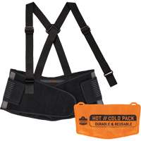 Ergodyne 11119 Proflex 1675 Back Support Brace with Cooling/Warming Pack, Spandex, X-Small