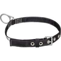 Peakworks V8051011 WB-1010-S Ceinture de s&eacute;curit&eacute; en polyester - Petit