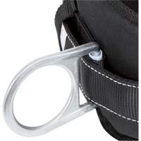 Peakworks V8056021 WB-6020-S Dispositif de retenue de s&eacute;curit&eacute; avec ceinture &agrave; deux anneaux en D et support lombaire rembourr&eacute; - Petit