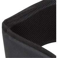 Peakworks V8059 WB-6006 Support lombaire rembourr&eacute; pour ceinture - Universel