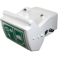 Hughes 45GEW Douche oculaire/faciale, Installation Montage mural, Bol Plastique