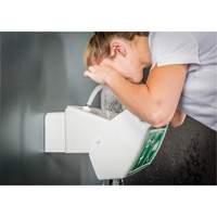 Hughes 45GEW Douche oculaire/faciale, Installation Montage mural, Bol Plastique