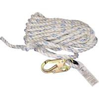 Dentec 16VL50-1 Cordage de s&eacute;curit&eacute; verticale avec mousqueton de 3/4" et cosse cœur