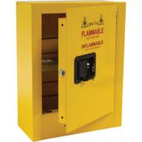Zenith Safety Products SHN743 Mini Flammable Safety Cabinet, 2 Gal., 1 Door, 17" W x 22" H x 8" D